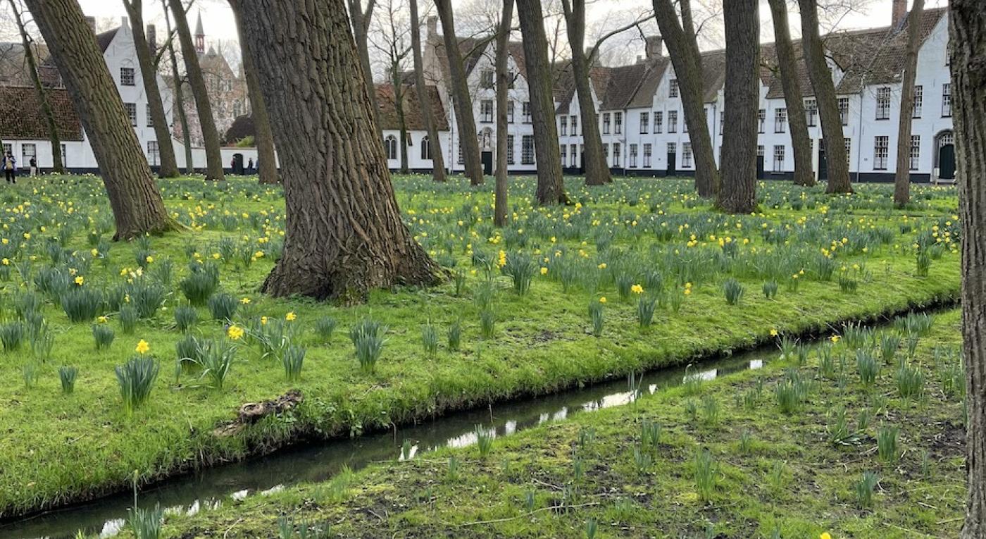 The beguinage at its best!